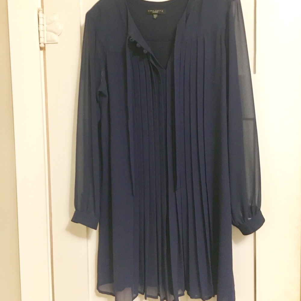 Navy Blue Sheer Pleated Dress, sz L